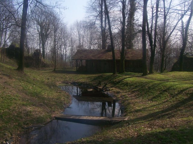 _2149.jpg