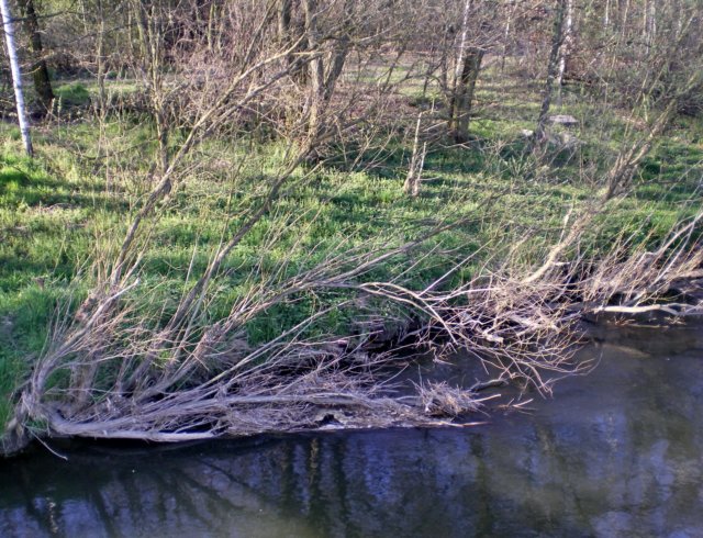 imgp0435.jpg