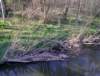 imgp0435_small.jpg