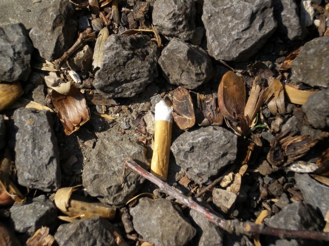 imgp0580.jpg