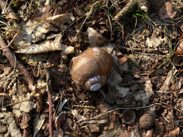 p1030476.jpg