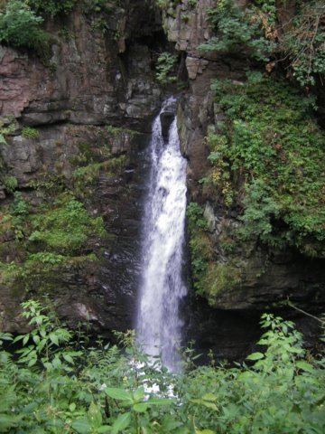 imgp0480.jpg