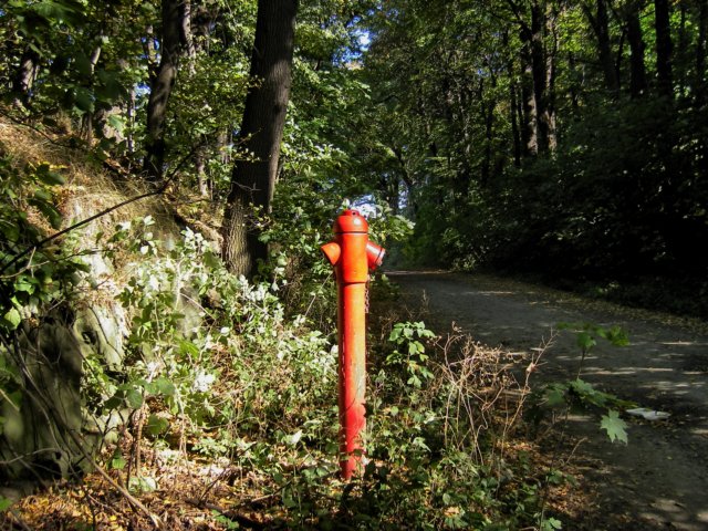 imgp0604.jpg