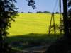 imgp0607_small.jpg