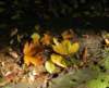 imgp0633_small.jpg