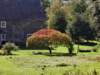 imgp0641_small.jpg