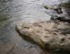 imgp0720_small.jpg