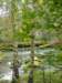 imgp0751_small.jpg
