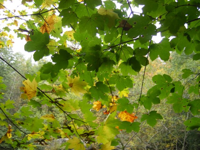imgp0767.jpg