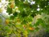 imgp0767_small.jpg