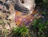 imgp0876_small.jpg