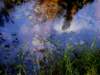 imgp0878_small.jpg