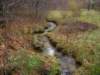 imgp1017_small.jpg