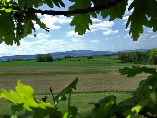dscf1039.jpg