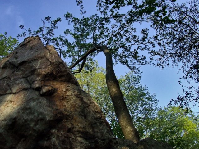 dscf1161.jpg