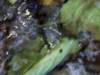 dscf2585_small.jpg