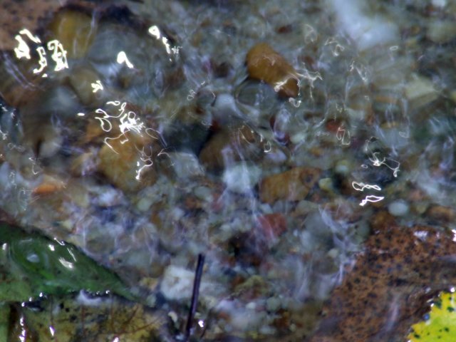 dscf2588.jpg