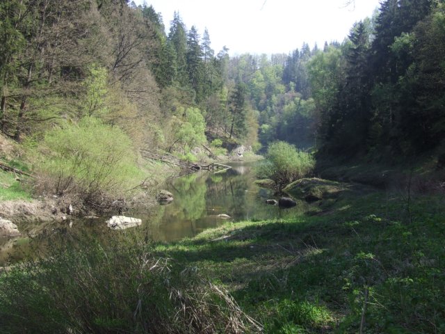 dscf3153.jpg