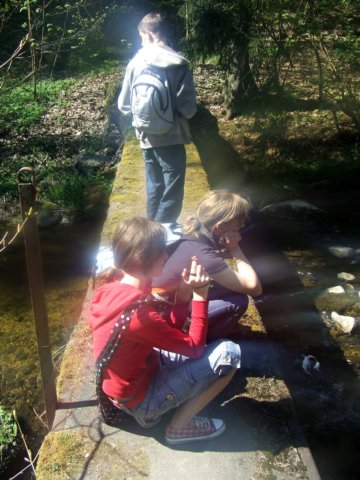 dscf3188.jpg