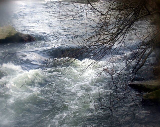 dscf01199l.jpg