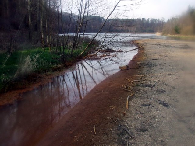 dscf0199i.jpg