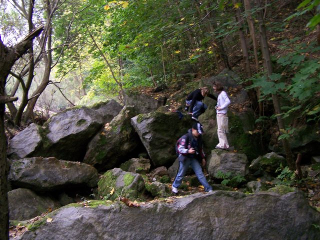 _1348.jpg