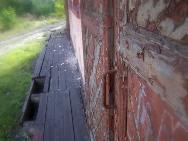 _1443.jpg