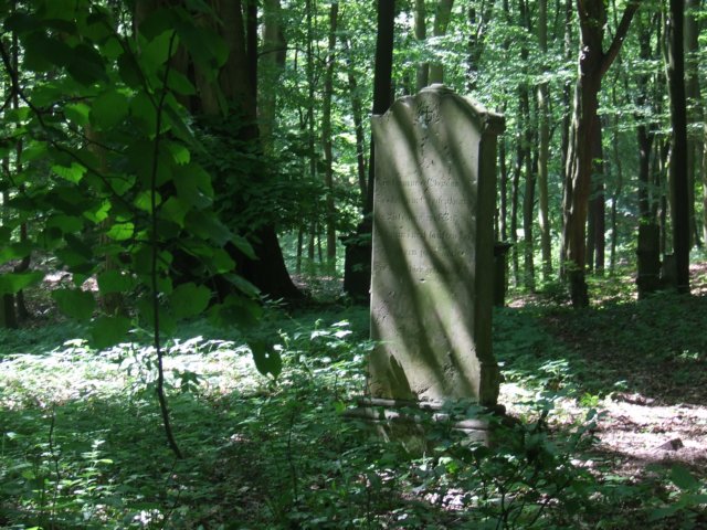 dscf3370.jpg