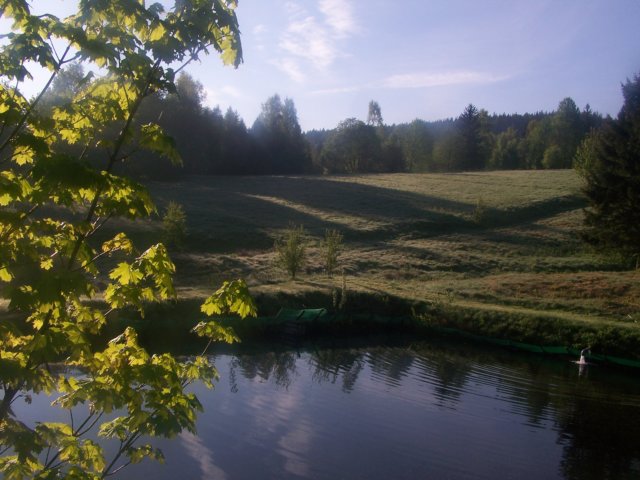 _2474.jpg