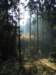 dscf2481_small.jpg