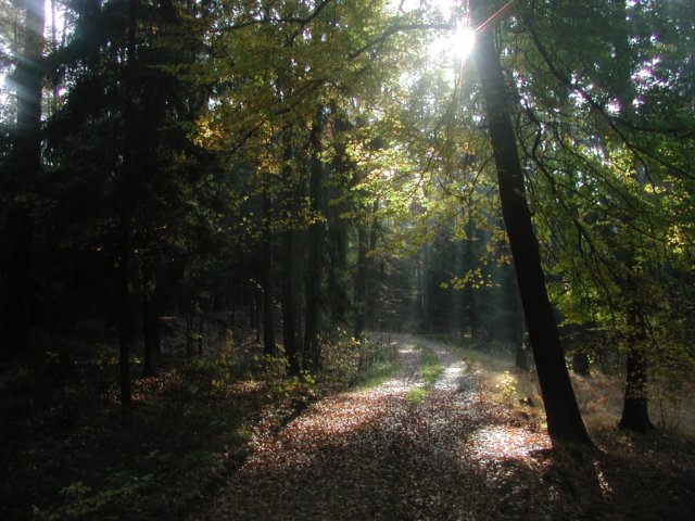 p1010012.jpg