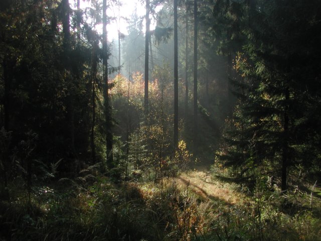 p1010019.jpg
