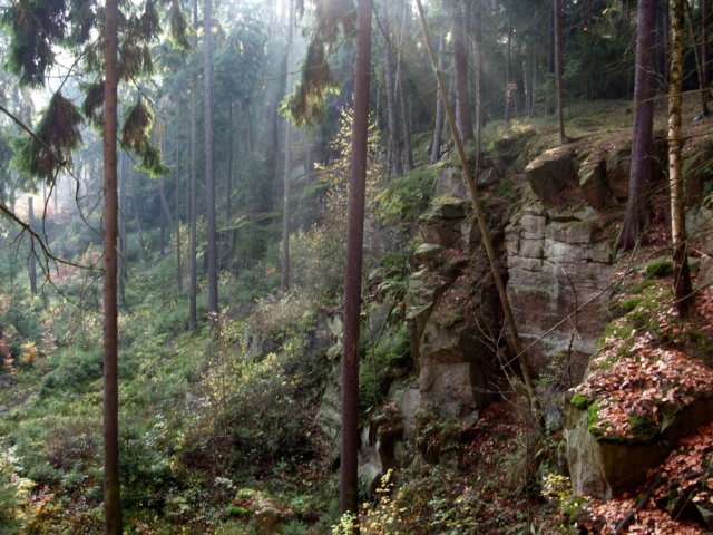 sn850043.jpg