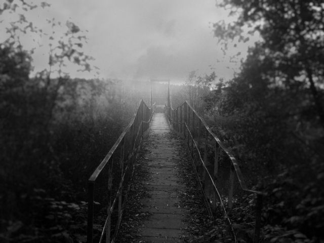 sn8502775.jpg