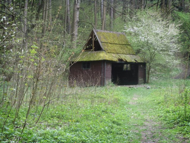 sn851067.jpg