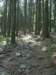 sn851621_small.jpg