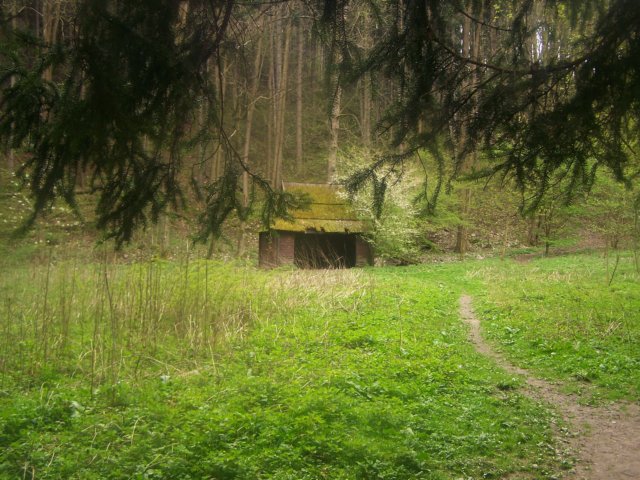 _2277.jpg